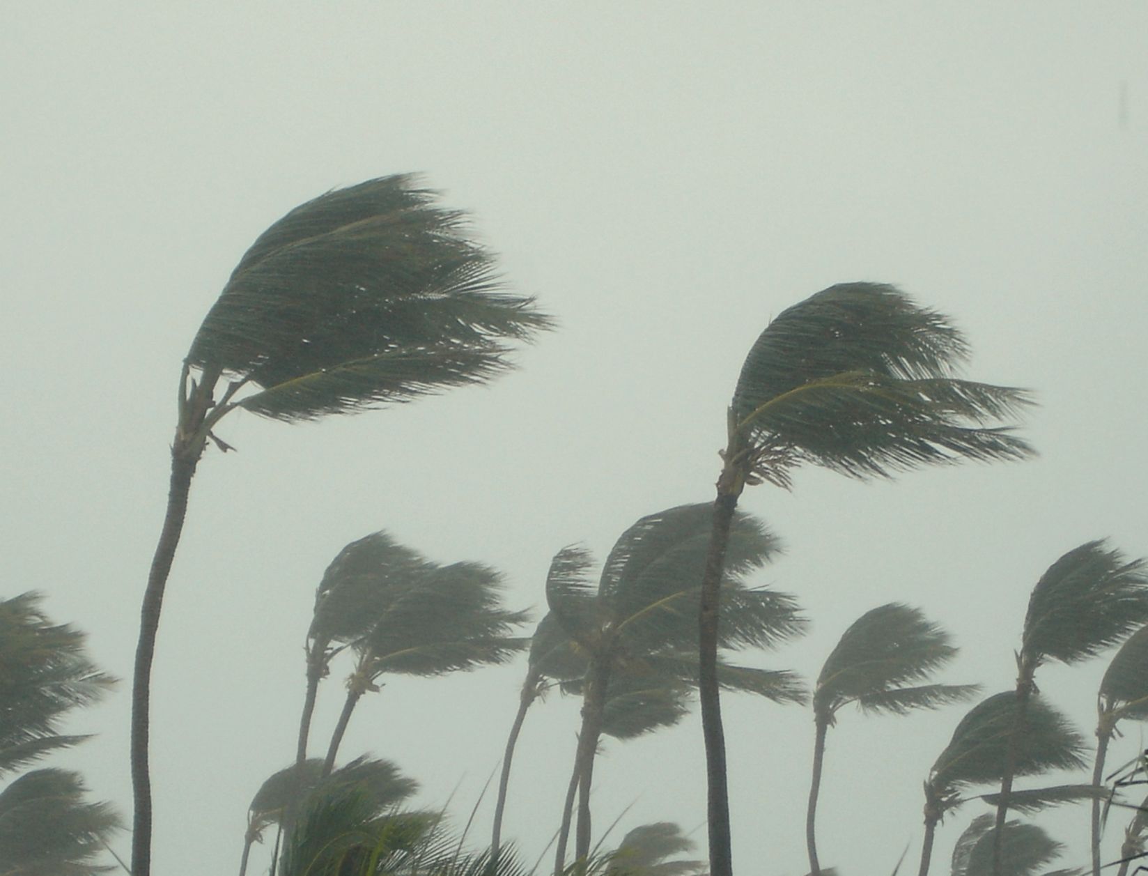 Figure 1: Hurricane Image